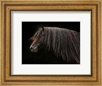 Framed Ebony