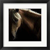 Framed Spirit Horse