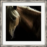 Framed Spirit Horse