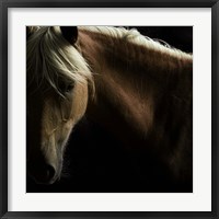 Framed Spirit Horse