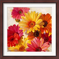 Framed Daisies for Spring