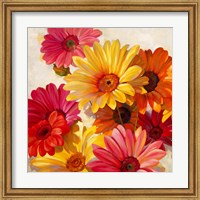 Framed Daisies for Spring