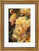 Framed Peonies for Springtime