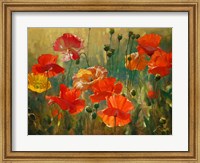 Framed Poppy Fields