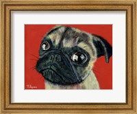 Framed Pugly