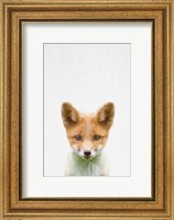 Framed Baby Fox