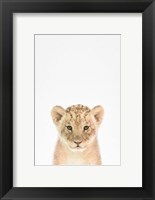 Framed Baby Lion
