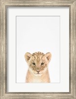 Framed Baby Lion
