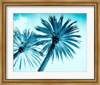 Framed Chic Palms
