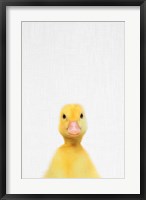 Framed Duck