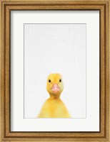 Framed Duck