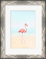 Framed Flamingo on the Beach II