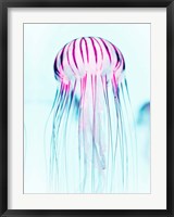 Framed Jelly Fish