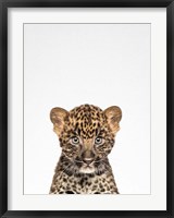 Framed Leopard