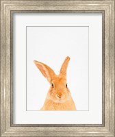 Framed Rabbit
