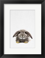 Framed Rabbit II