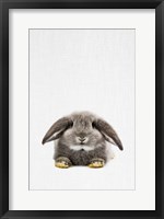 Framed Rabbit II