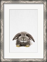 Framed Rabbit II