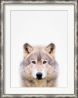 Framed Wolf