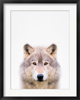 Framed Wolf