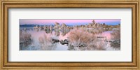 Framed Mono Lake Sunset