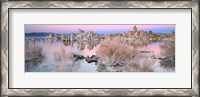 Framed Mono Lake Sunset
