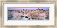 Framed Mono Lake Sunset