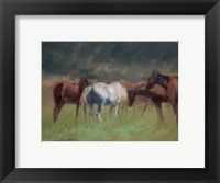 Framed Southern Horses