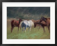 Framed Southern Horses