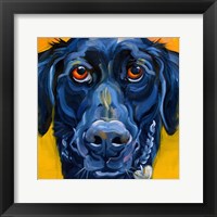 Framed Black Dog