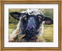Framed Bless Ewe
