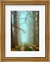 Framed Blue Mist