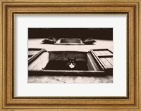 Framed Dali the Cat