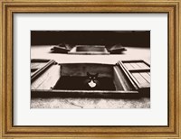 Framed Dali the Cat