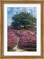 Framed Purple Heath