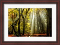 Framed Yellow Leaves Rays