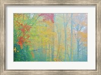 Framed Autumn's Palette