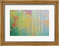 Framed Autumn's Palette