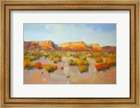 Framed Canyon View