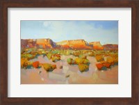 Framed Canyon View