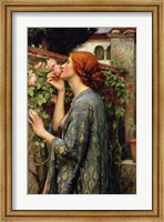 Framed Soul of the Rose