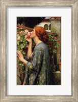 Framed Soul of the Rose