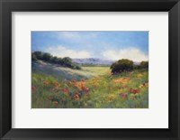 Framed Poppies with a View