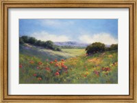 Framed Poppies with a View