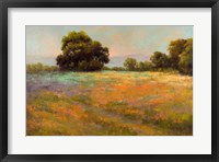 Framed Spring Meadow