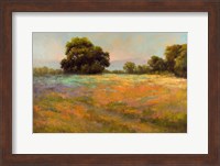 Framed Spring Meadow