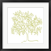 Framed Citron Tree