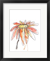 Framed Orange Modern Botanical