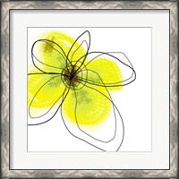 Framed Yellow Petals Four