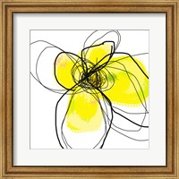 Framed Yellow Petals Three